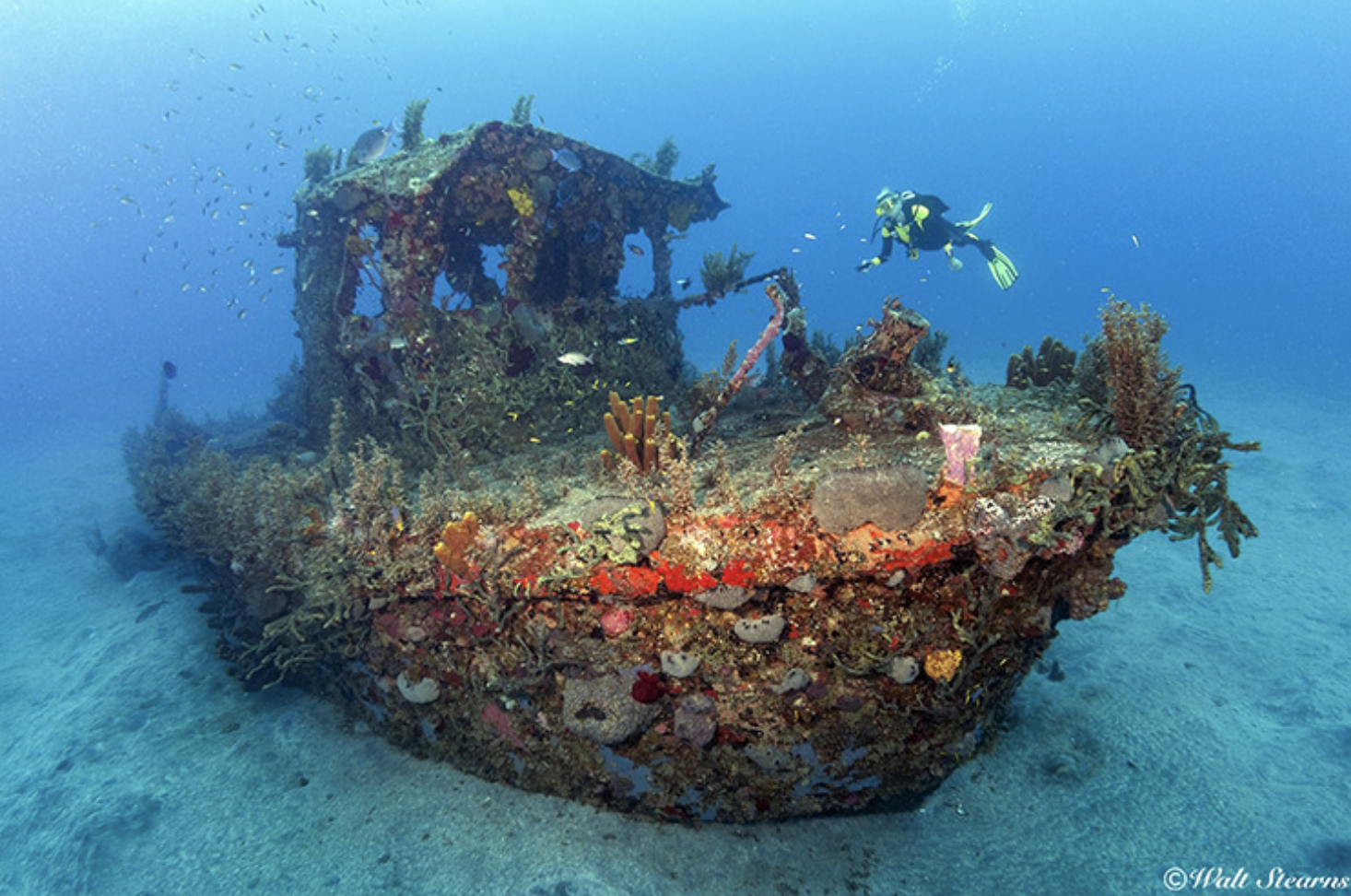 Statia Wreck Dive 