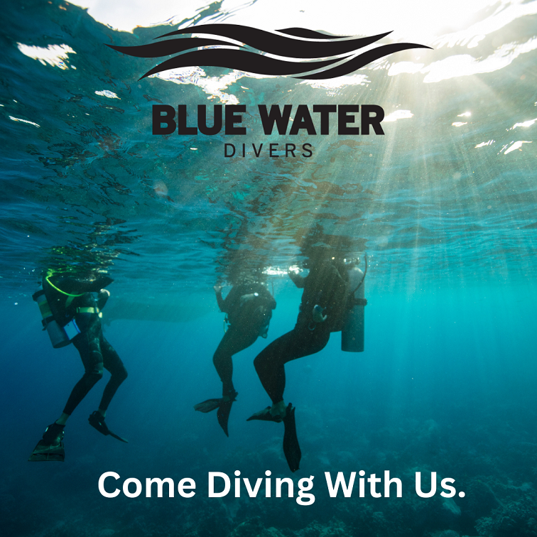 Come Diving With Us...