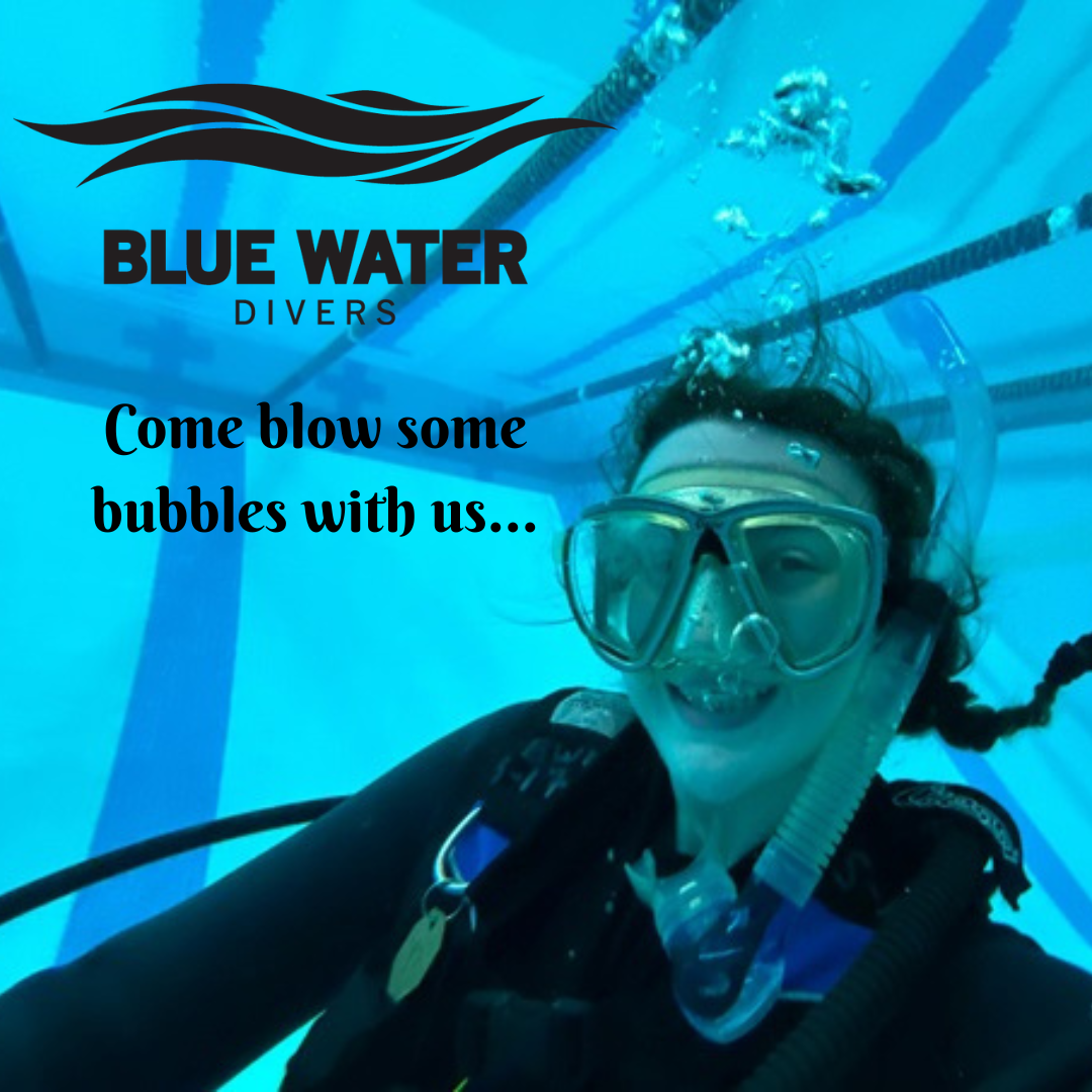 Welcome to Blue Water Divers