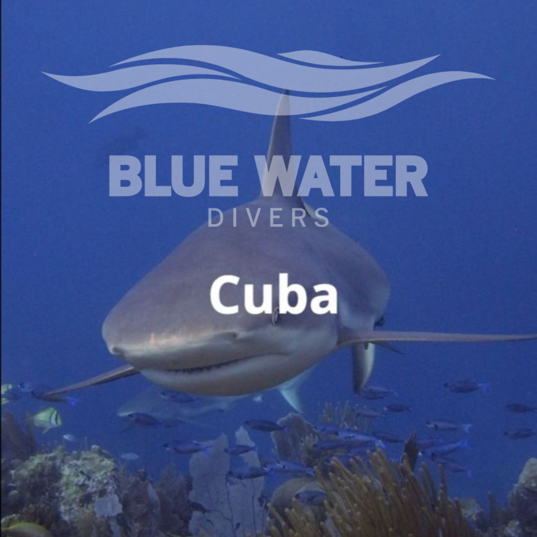 Cuba Trip 2024
