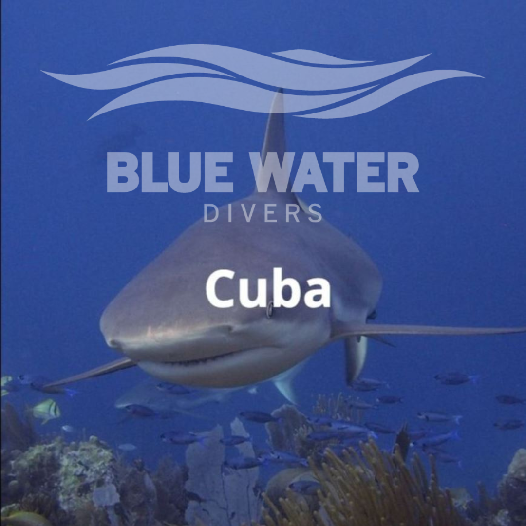 Cuba%20trip%202024.png