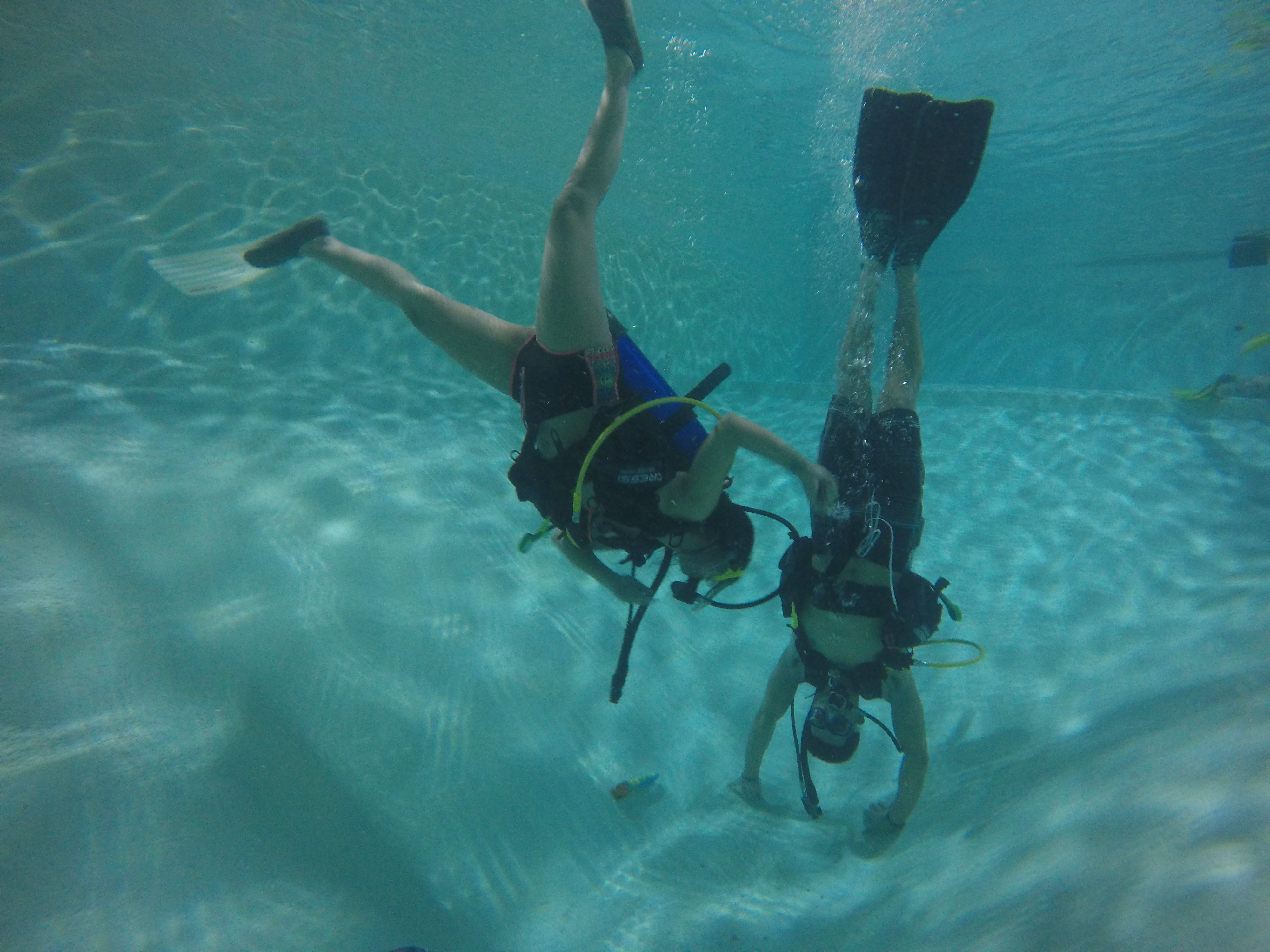 Discover Scuba Diving 031219