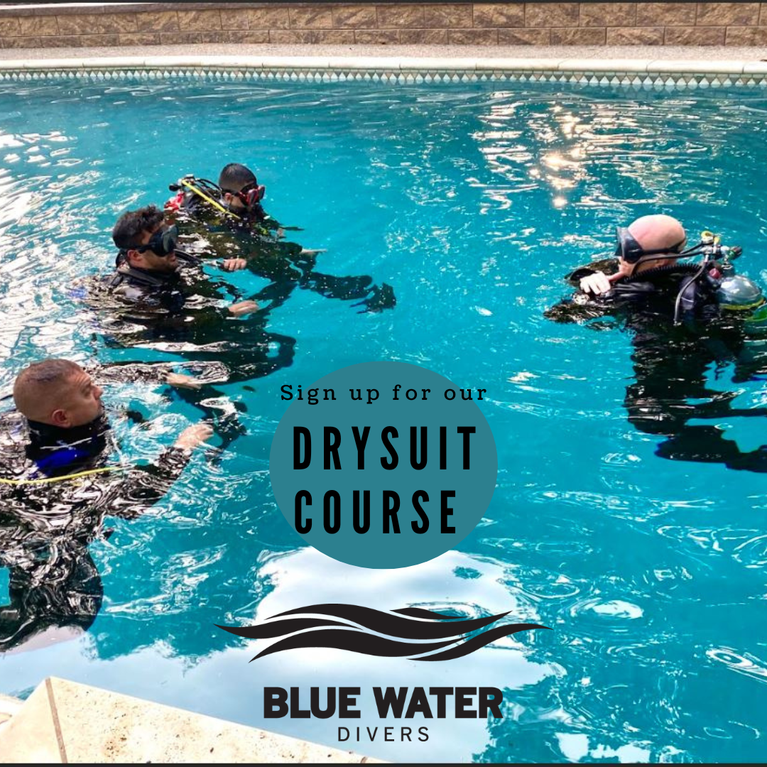 Dry Suit Diver Course