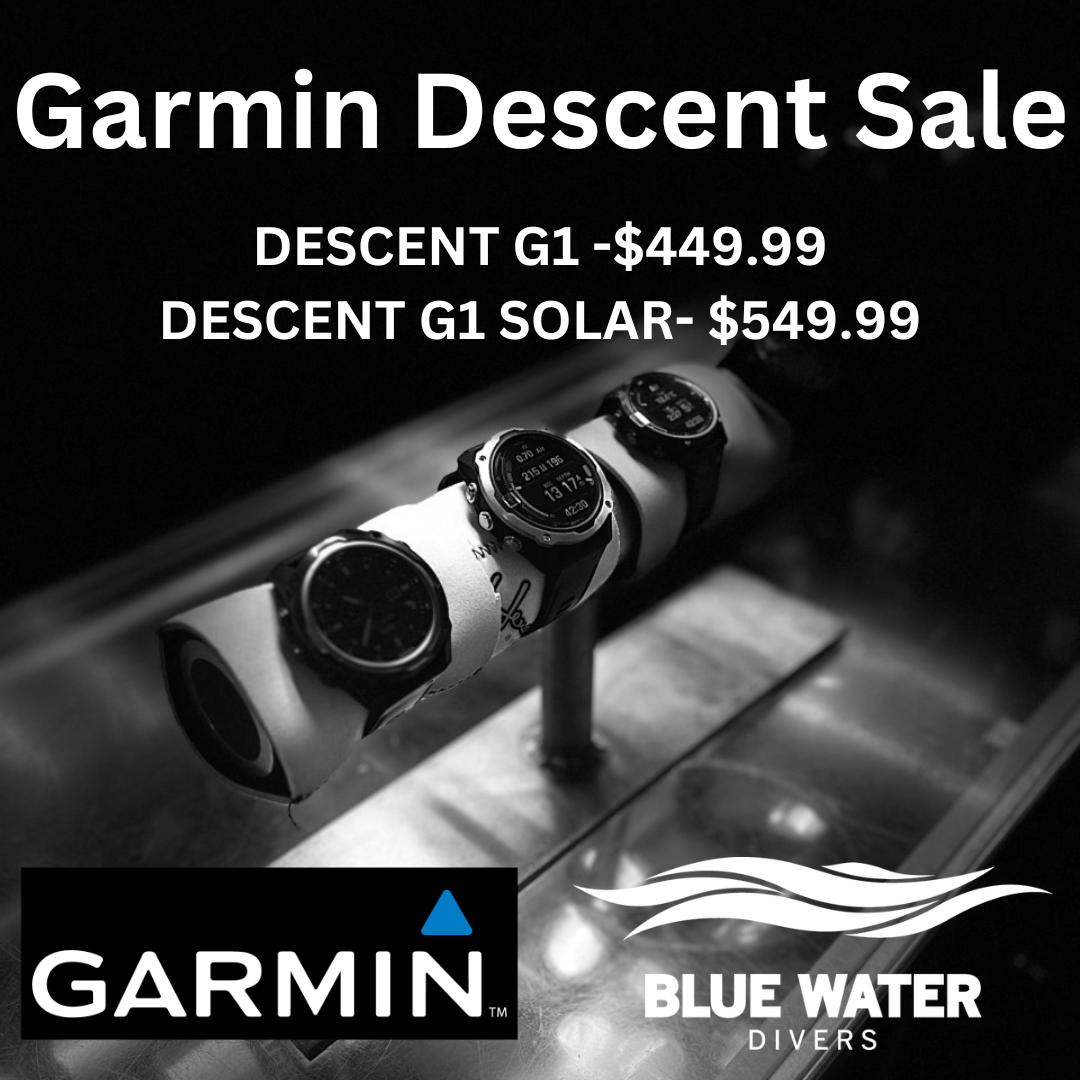 GARMIN%20PROMO.png