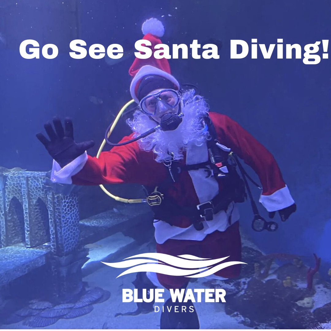 Go See Santa Diving
