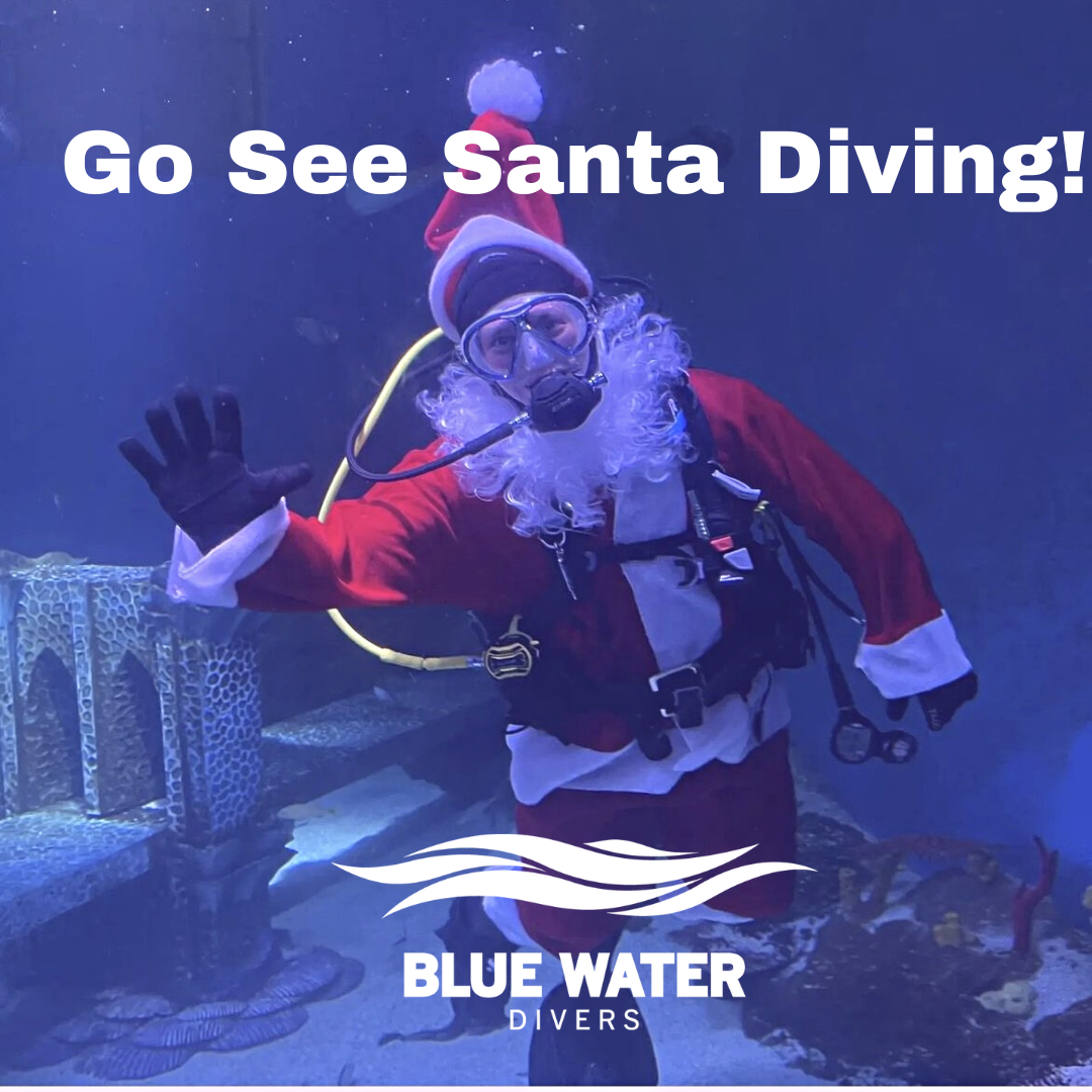 Go%20See%20Santa%20Dive.png