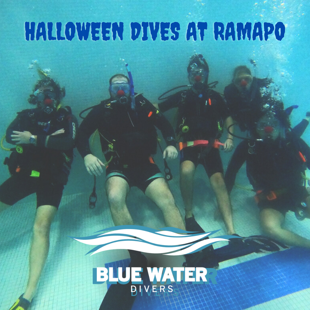 Halloween%20Dives%20at%20Ramapo%20%281%29.png