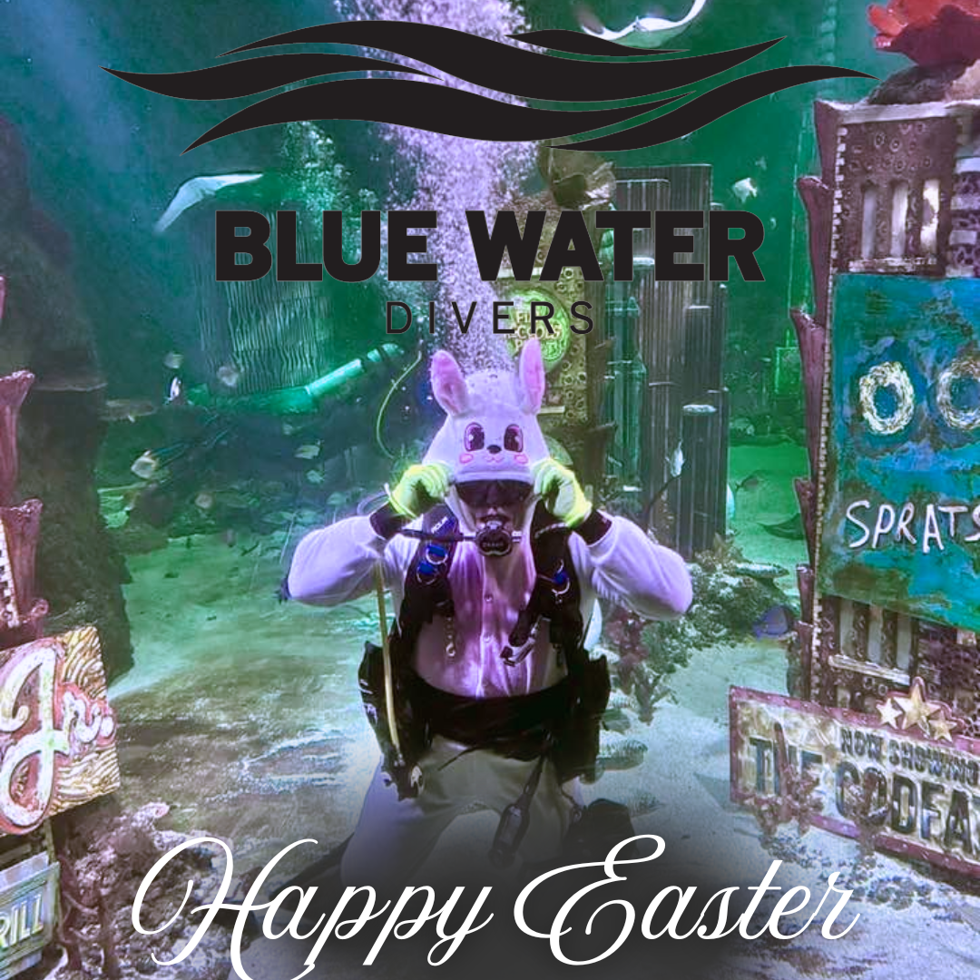 Hoppy Easter