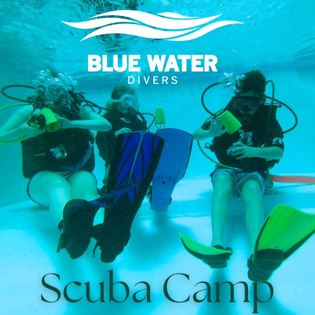 Scuba camp 2024