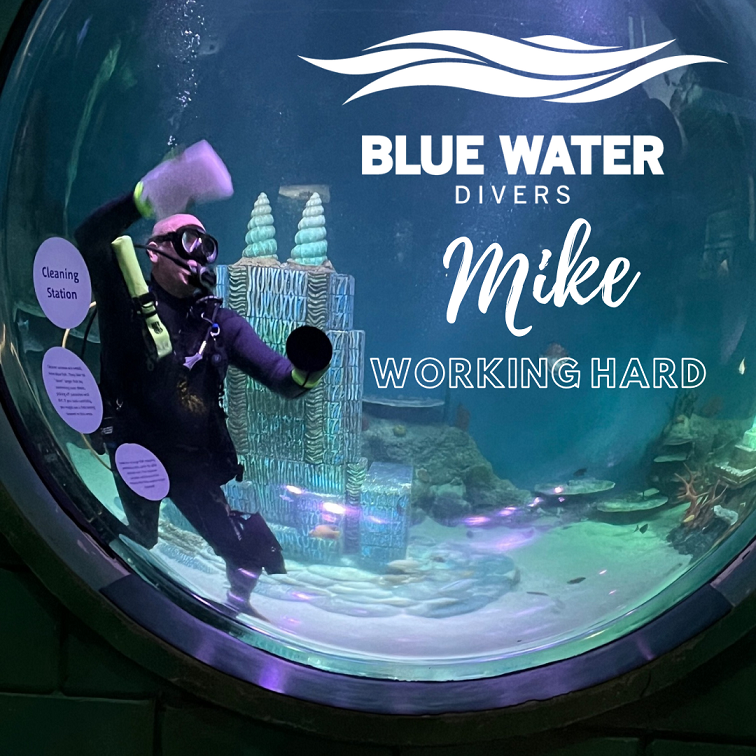 Mike%20at%20Sealife.png