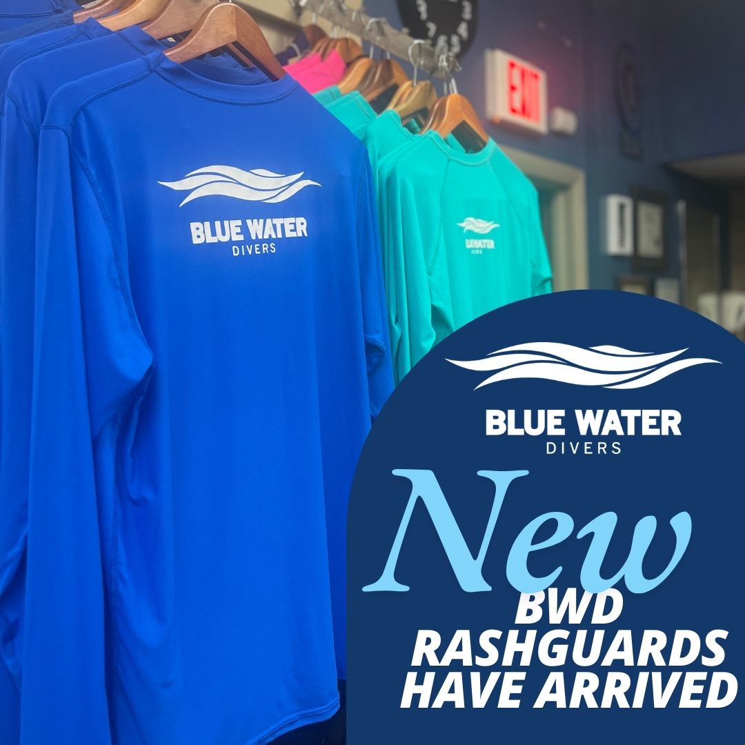 New Branded Scuba Rash Guards
