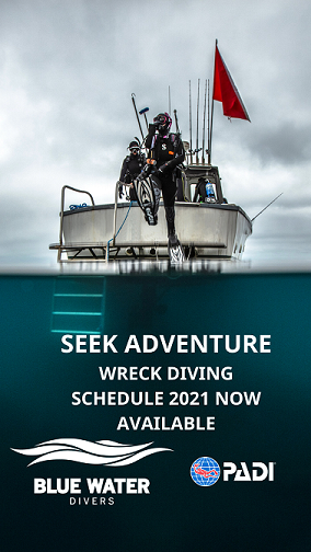 Wreck Diving 