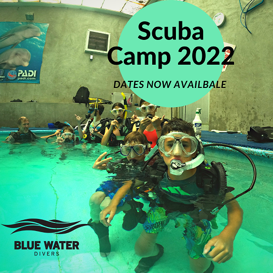 Scuba Camp 2022