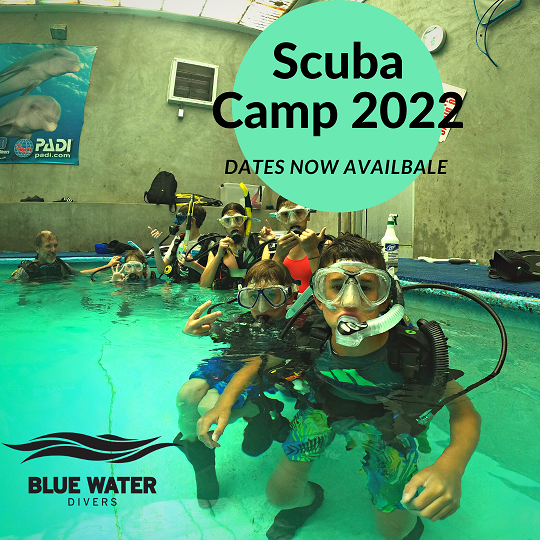 Scuba%20Camp%202022.png