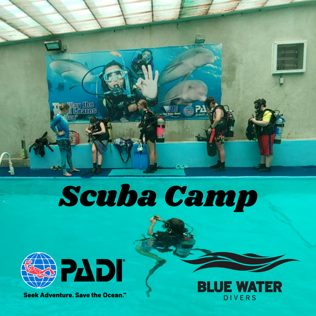 Scuba Camp 2023