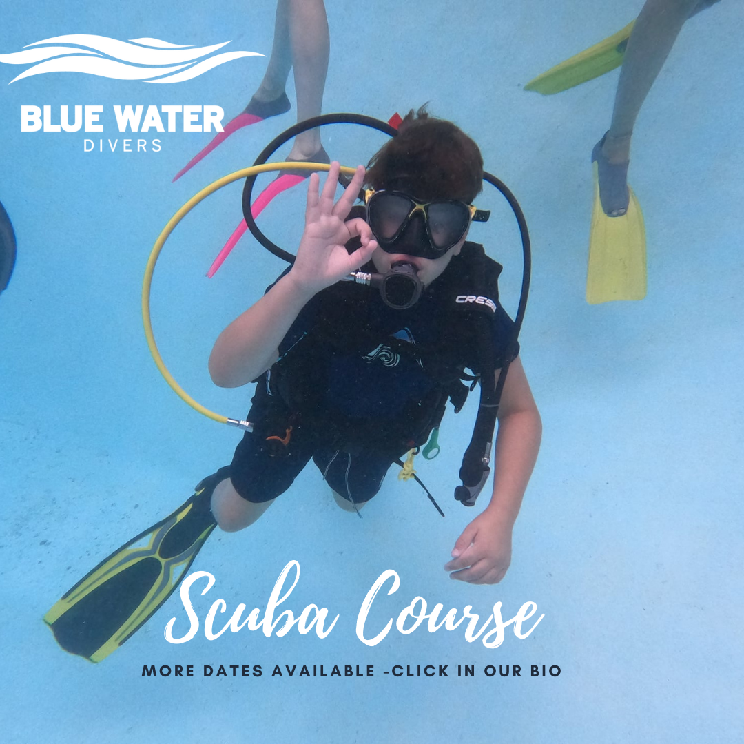 Scuba Courses