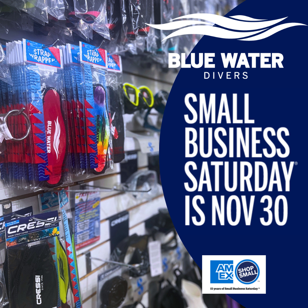 Small Business Saturday