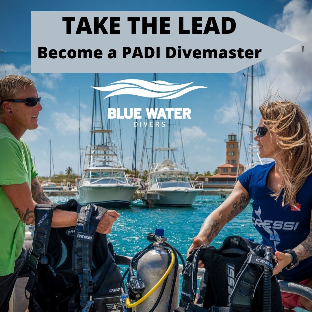 Divemaster Orientation