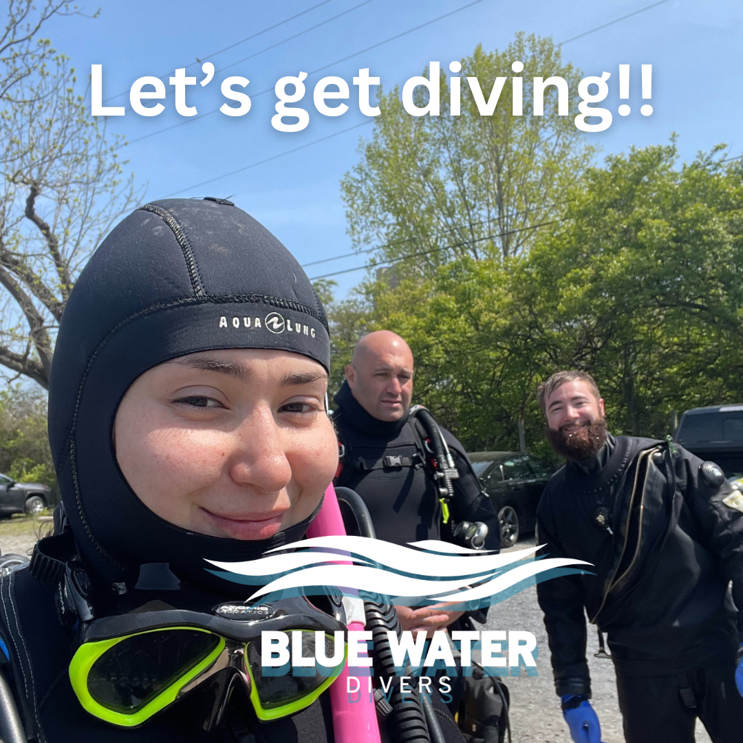 Let's go diving!!!