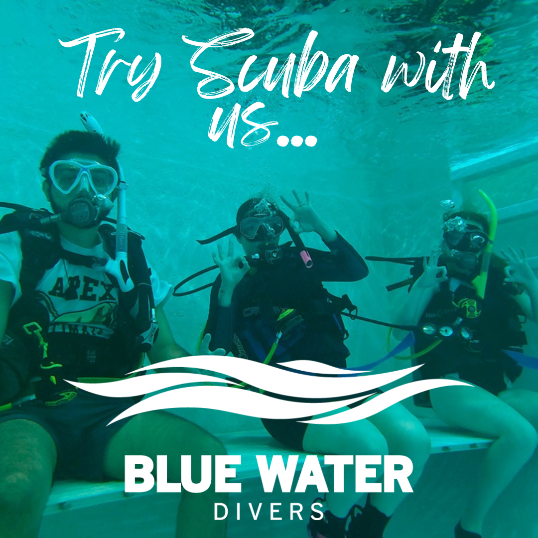 Try%20Scuba%20with%20us....png