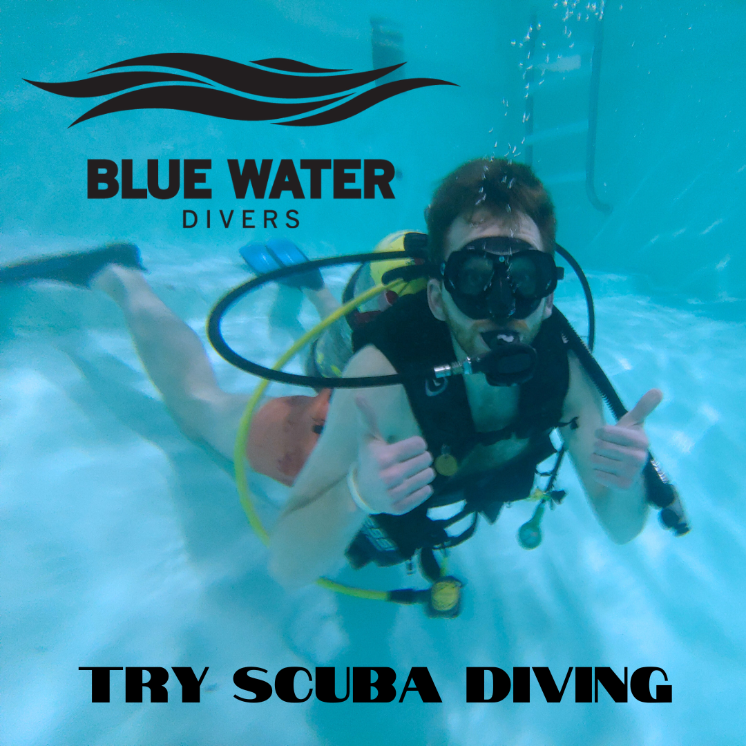 Try%20Scuba.png