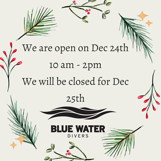 We Are Open Dec 24th 10 Am Till 2 Pm