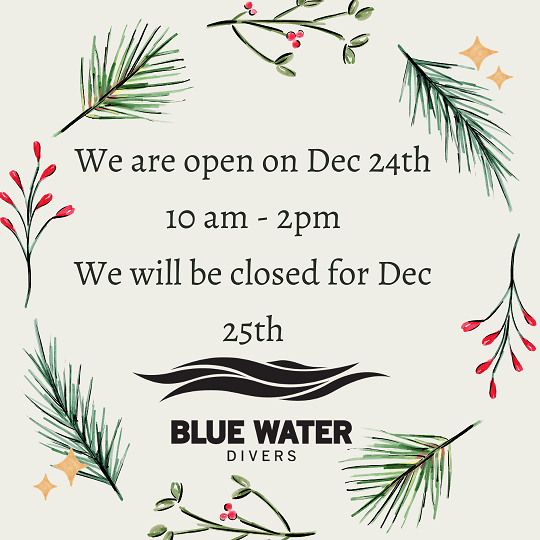 We%20are%20on%20Dec%2024th%2010%20am%20-%202pm%20we%20will%20be%20closed%20for%20Dec%2025th%20%281%29.jpg