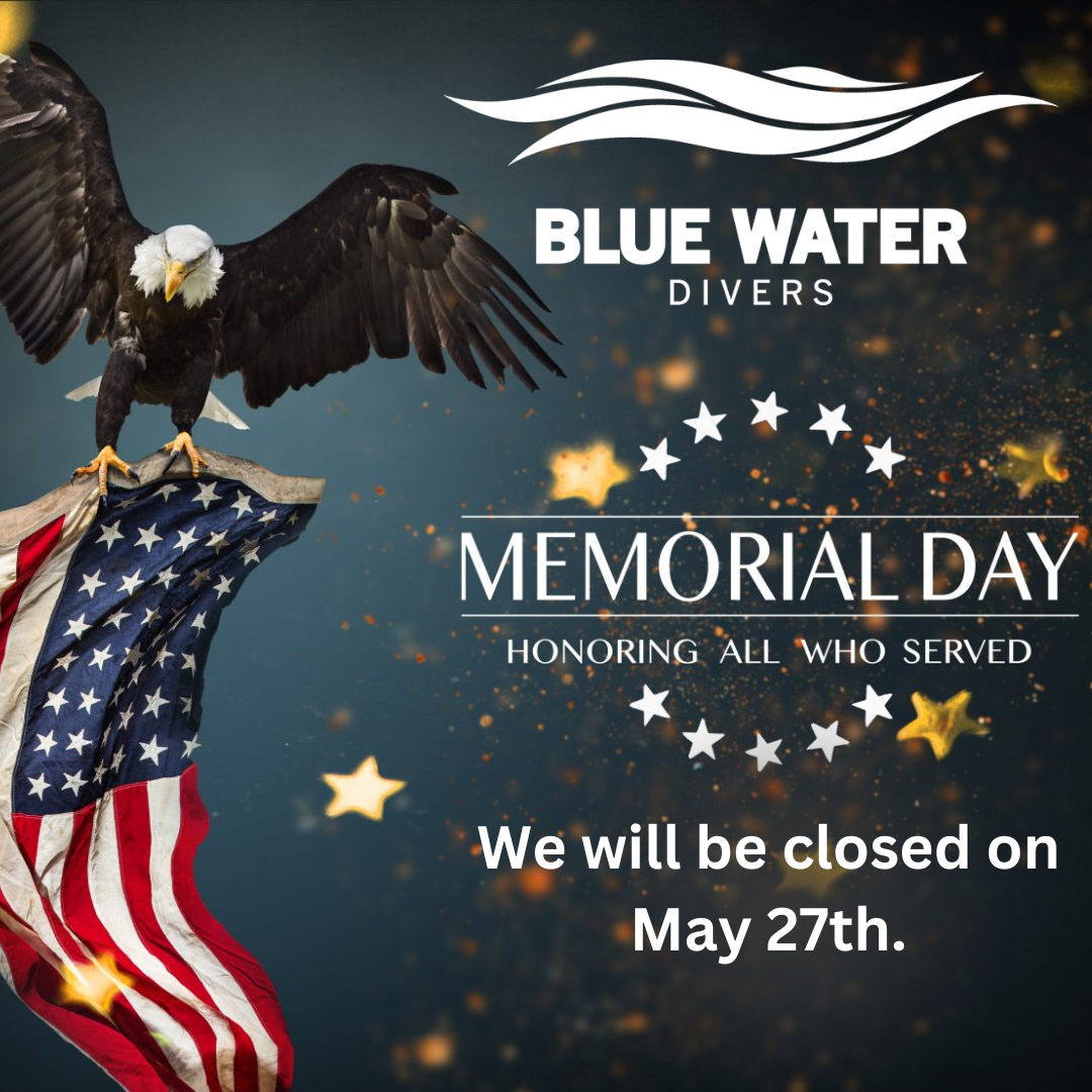 Memorial Day Weekend 2024
