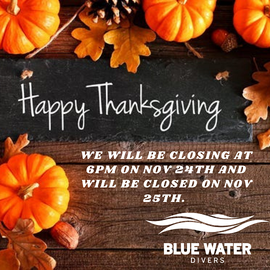 Thanksgiving Hours