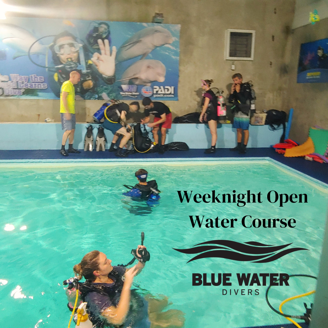 Weeknight%20Open%20Water%20Course%201.png