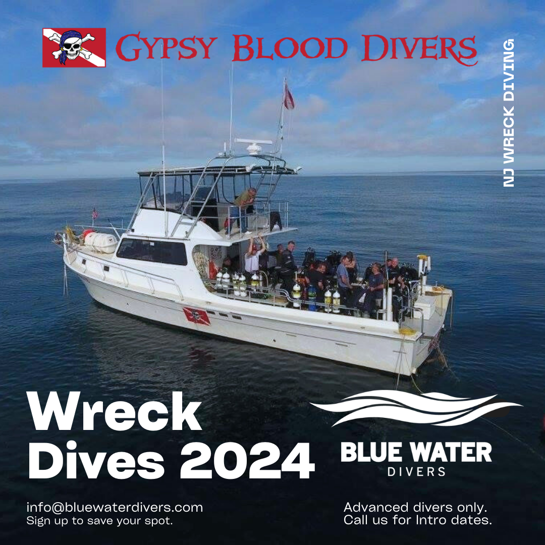 Wreck Diving 2024