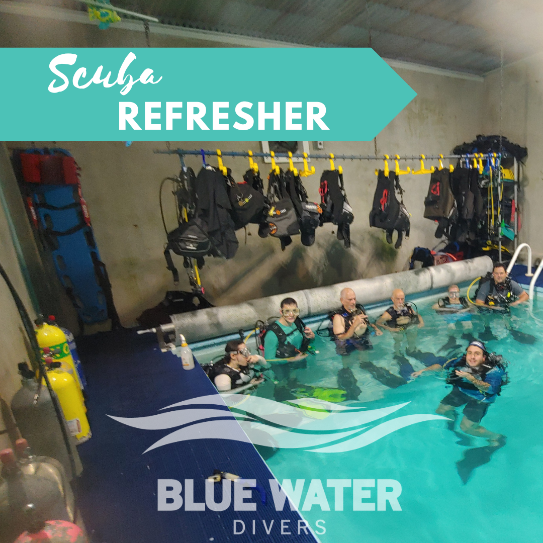 Scuba Refreshers