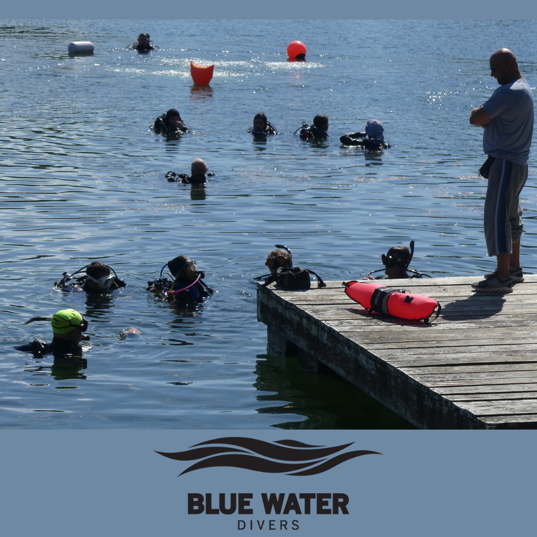 Willow Springs Training Dives