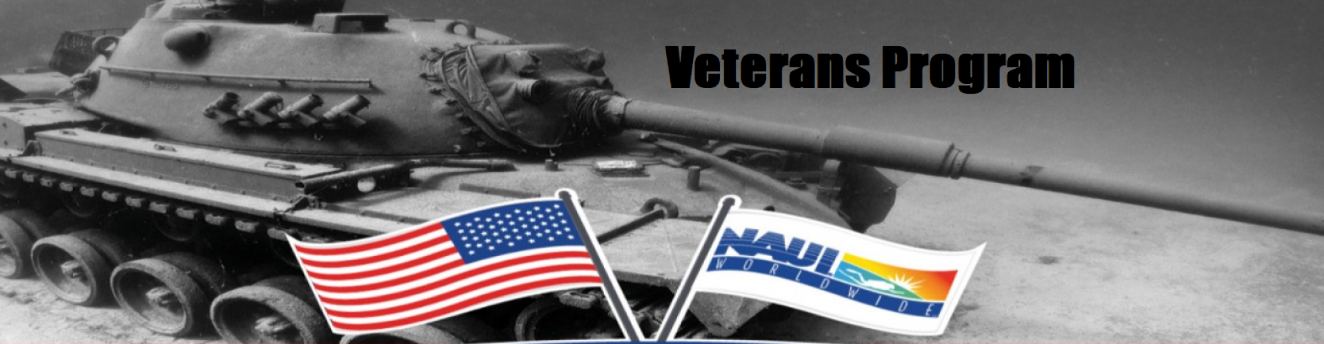 Veterans program